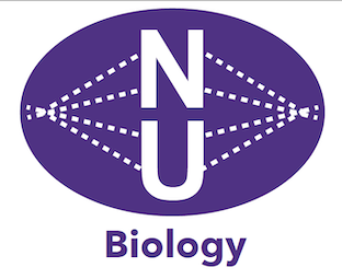 northwestern undergraduate biology research